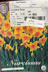 Narcissus ‘Suzy’ – 5 Bulbs