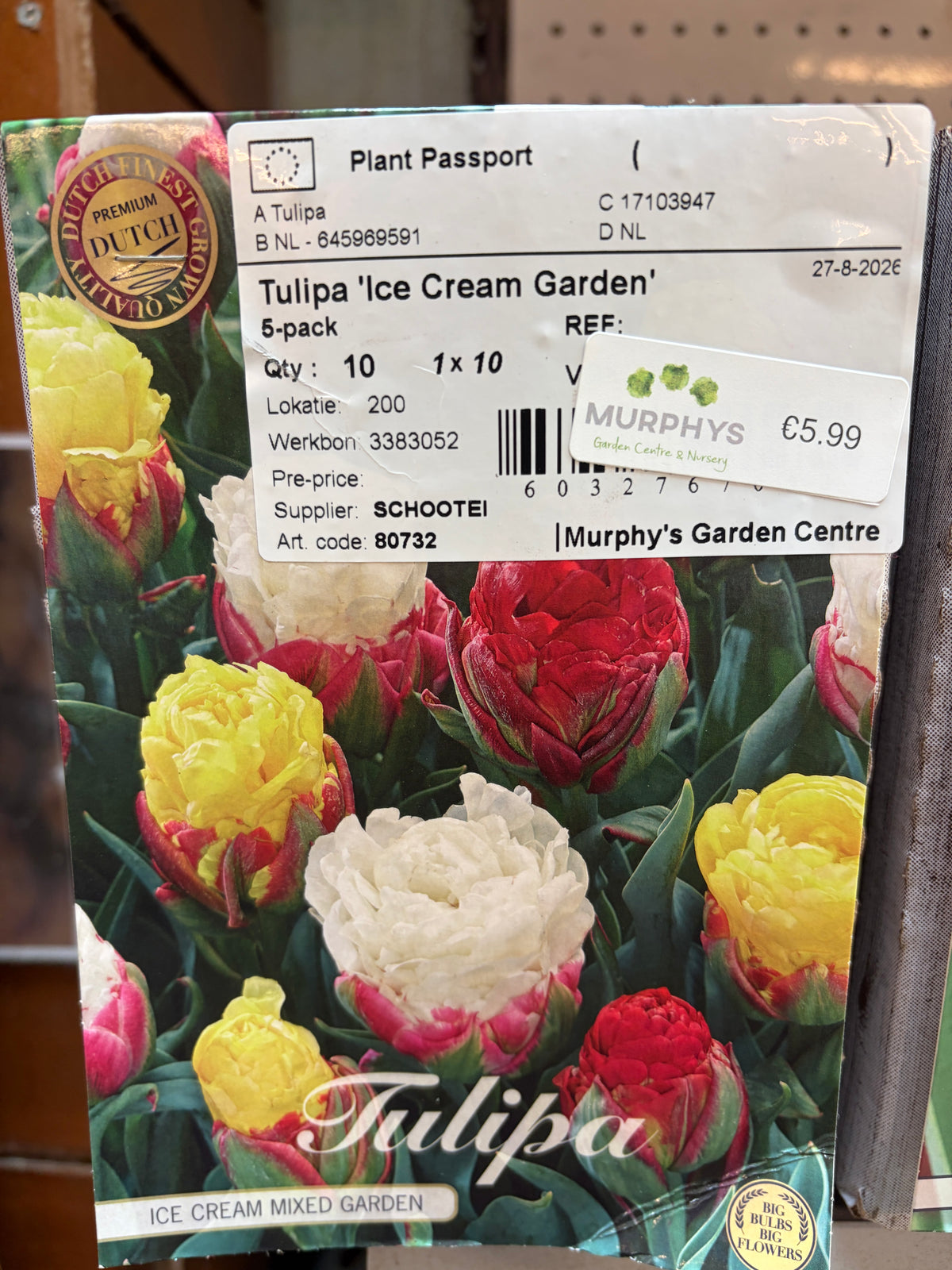 Tulip "Ice Cream Garden" bulbs x10
