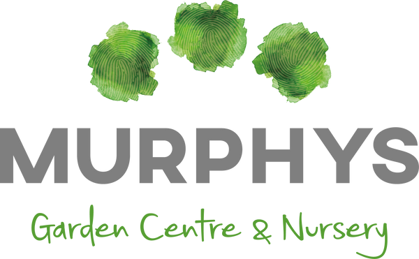 Murphys Garden Centre & Hedging