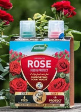 Westland Rose Feed & Protect