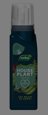 Westland House Plant Feed
