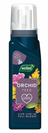 Westland Orchid Feed